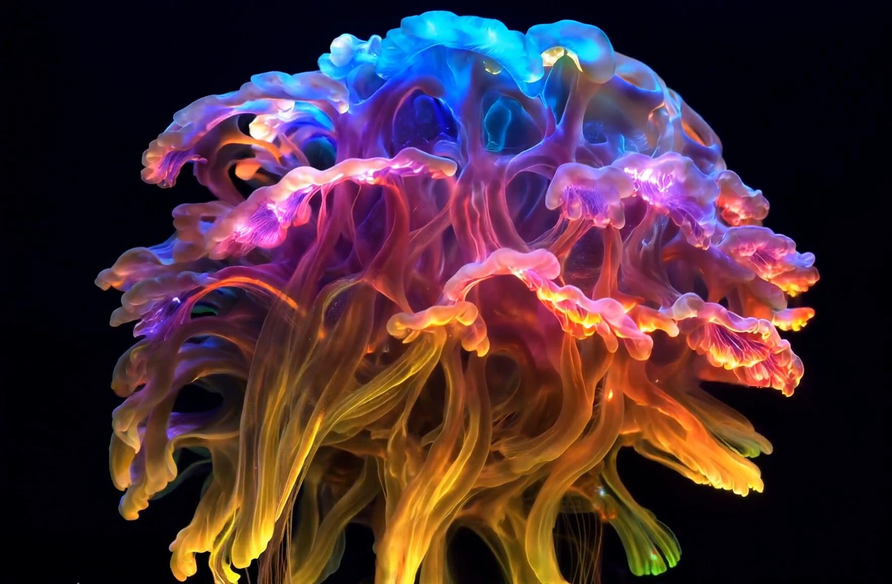 AI WORKFLOW 2024 - Echoes of a Living Structure
